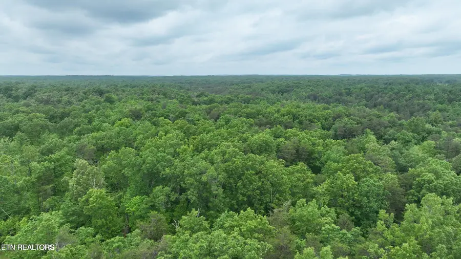 Laurel Loop, Monterey, TN 38574 - #3