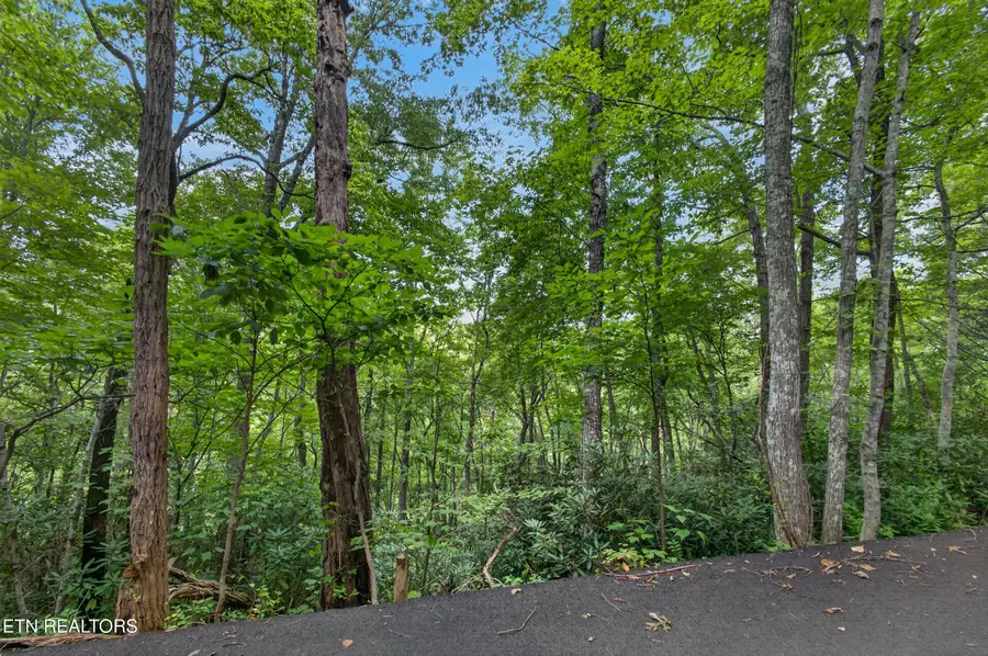 Ownby Circle, Gatlinburg, TN 37738 - #2