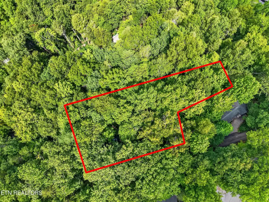 Ownby Circle, Gatlinburg, TN 37738 - #3