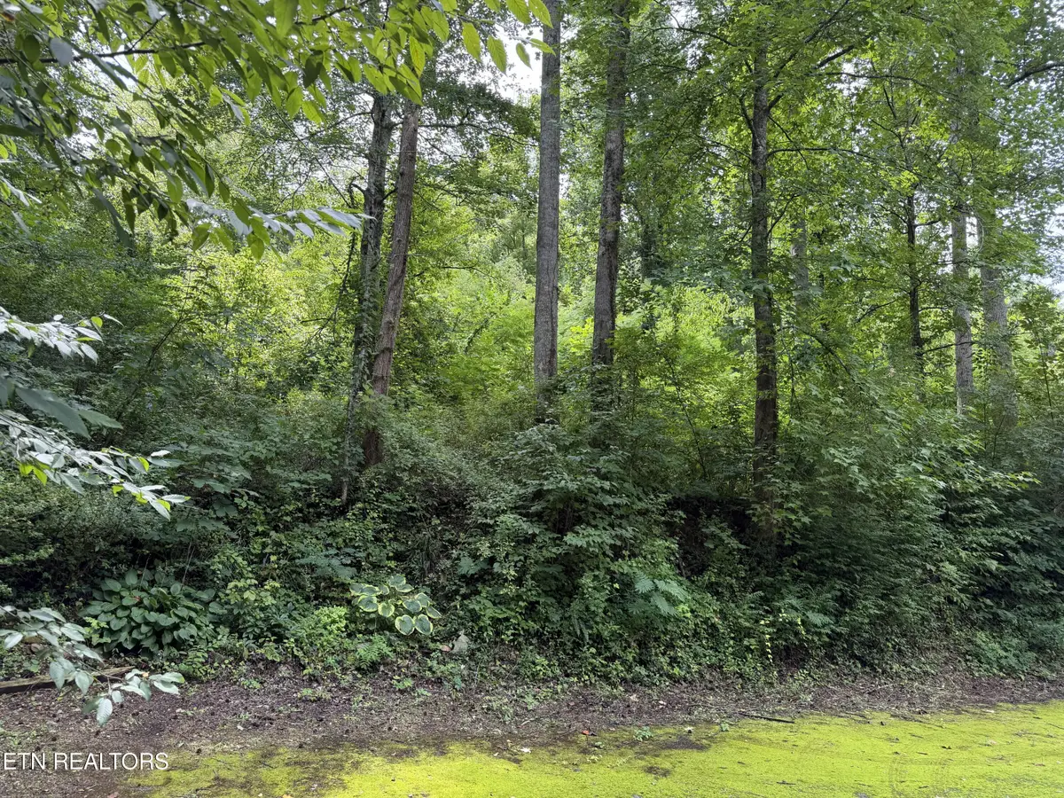 315 Hilltop Rd, Gatlinburg, TN 37738 - #1