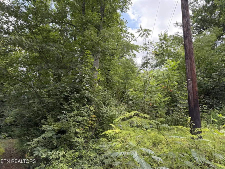 315 Hilltop Rd, Gatlinburg, TN 37738 - #2