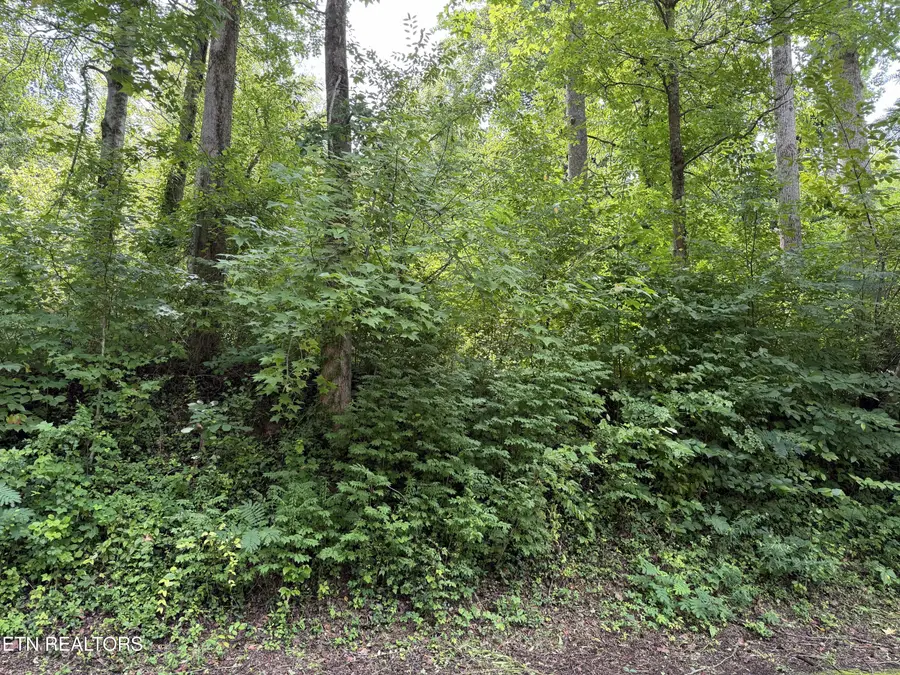 315 Hilltop Rd, Gatlinburg, TN 37738 - #3
