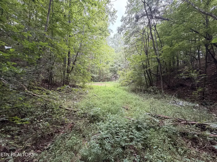 Lots 1-5 Forge Hideaway Rd, Pigeon Forge, TN 37863 - #3