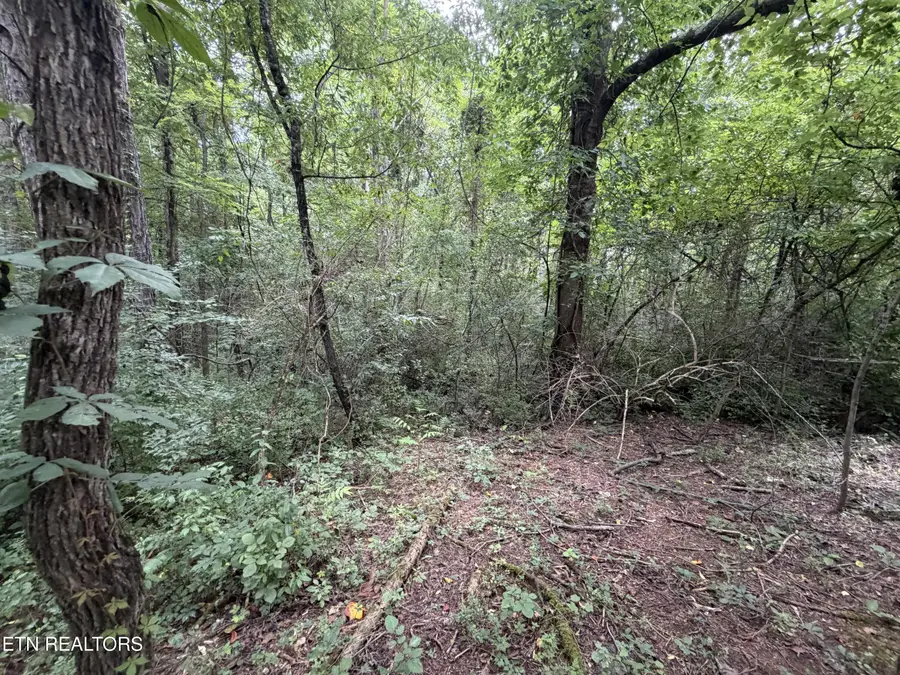 Lot 15 Sunrise Blvd, Kodak, TN 37764 - #2