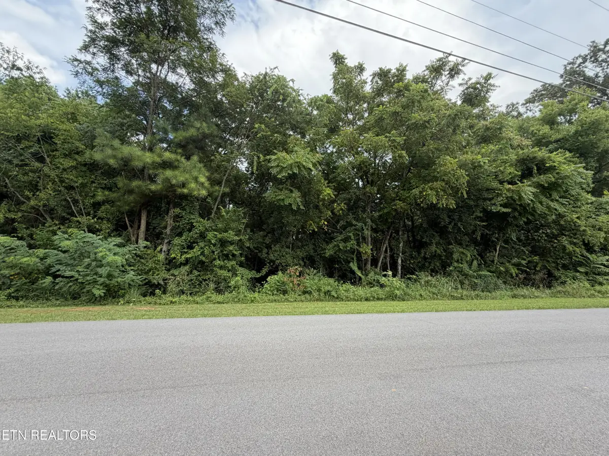 Lot 16 Sunrise Blvd, Kodak, TN 37764 - #1