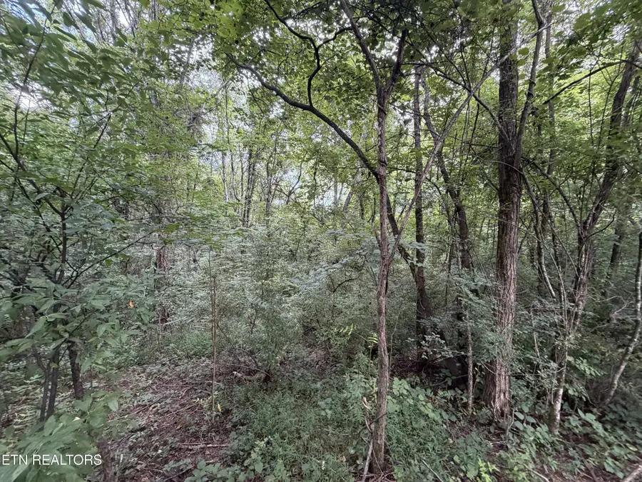 Lot 16 Sunrise Blvd, Kodak, TN 37764 - #2