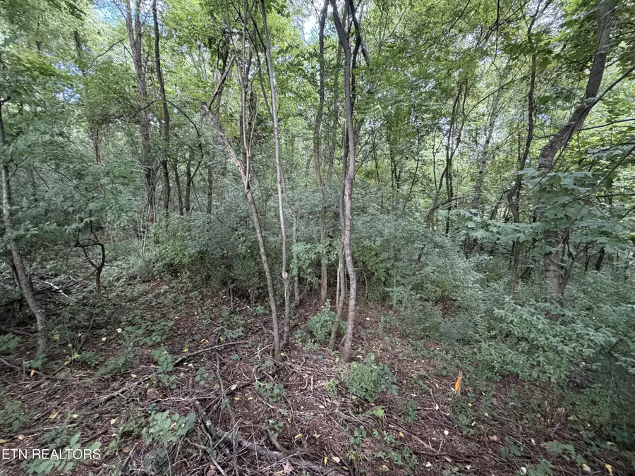 Lot 16 Sunrise Blvd, Kodak, TN 37764 - #3