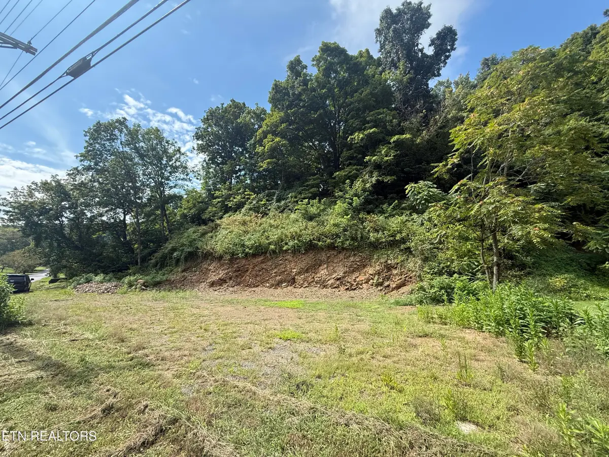 517 Tuggle Hill Rd, Rogersville, TN 37857 - #1