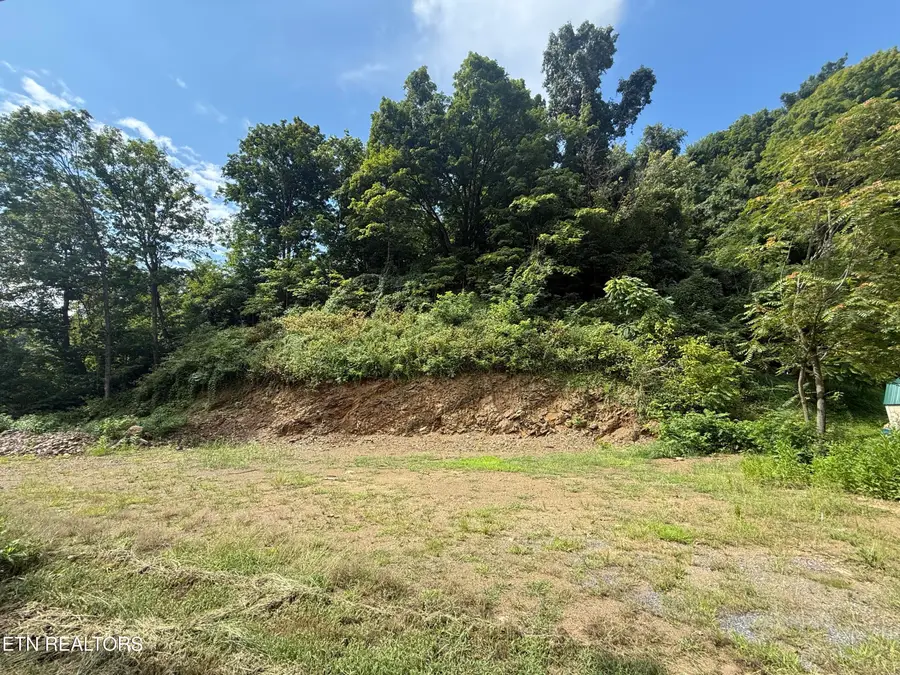 517 Tuggle Hill Rd, Rogersville, TN 37857 - #2