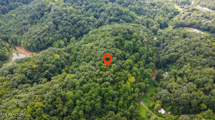 Hawk Lane, Seymour, TN 37865 - #3