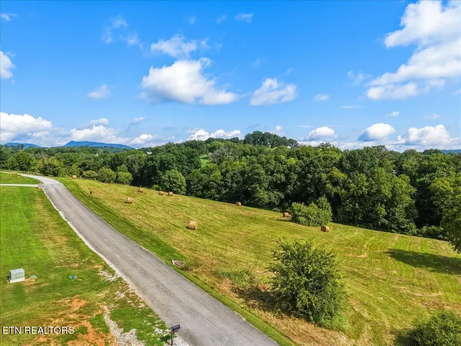 Park View Drive, Blaine, TN 37709 - #3