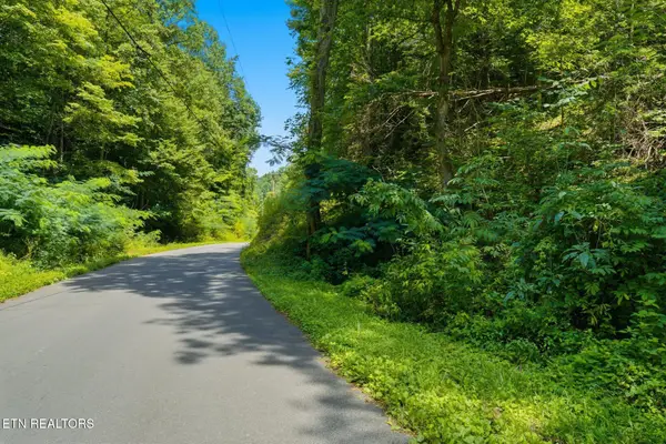 Lot #3 Gnatty Branch Rd, Sevierville, TN 37876