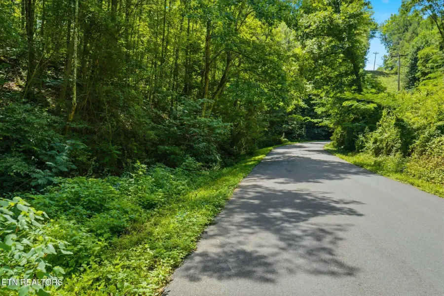 Lot #3 Gnatty Branch Rd, Sevierville, TN 37876 - #2
