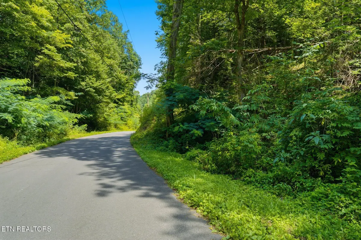 Lot #4 Gnatty Branch Rd, Sevierville, TN 37876 - #1