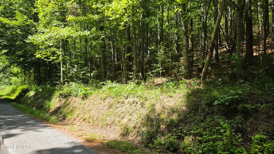 000 County Rd #184, Athens, TN 37303 - #2