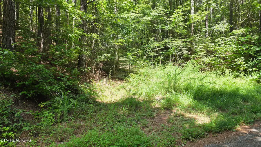 000 County Rd #184, Athens, TN 37303 - #3