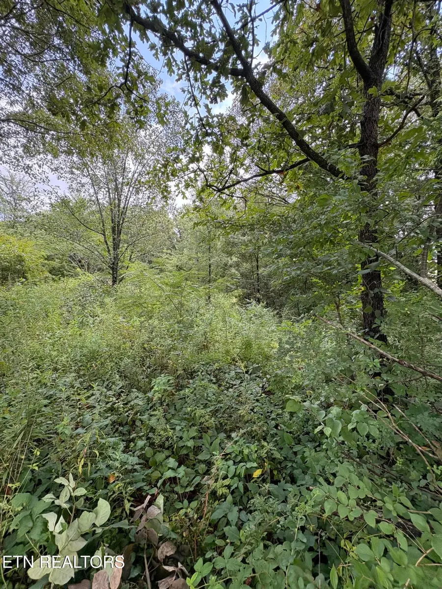 Midway Road Lot 3, Strawberry Plains, TN 37871 - #2