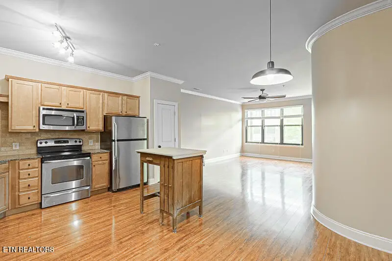 445 W Blount Ave #303, Knoxville, TN 37920 - #2
