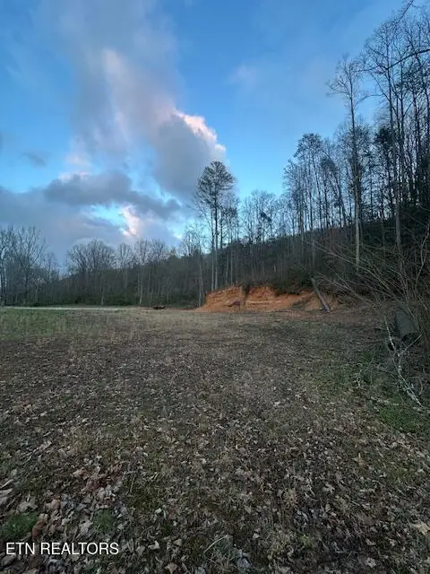 320 Frost Bottom Rd, Oliver Springs, TN 37840 - #1