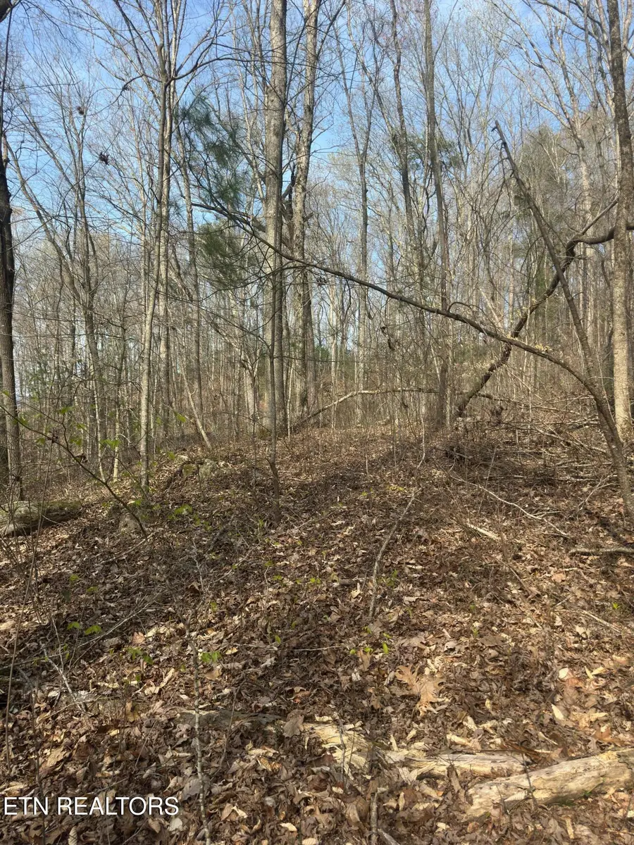 320 Frost Bottom Rd, Oliver Springs, TN 37840 - #3