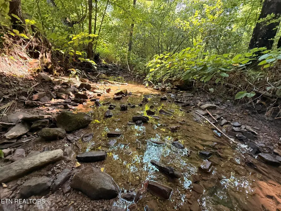 920 Left Poor Valley Rd, Pennington Gap, VA 24277 - #2