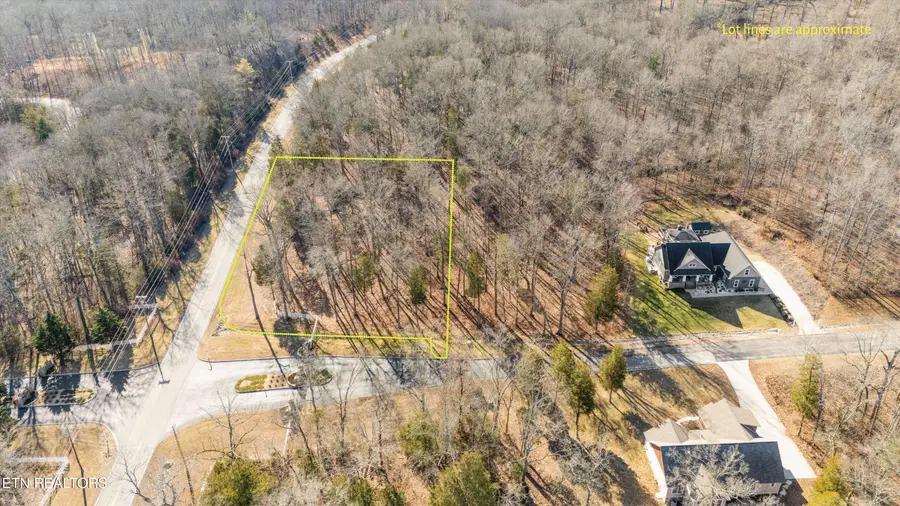 380 Walking Horse Tr, Rockwood, TN 37854 - #2
