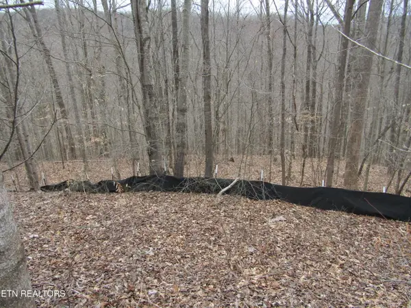 Lot 60 W Bobcat Lane, Wilder, TN 38589