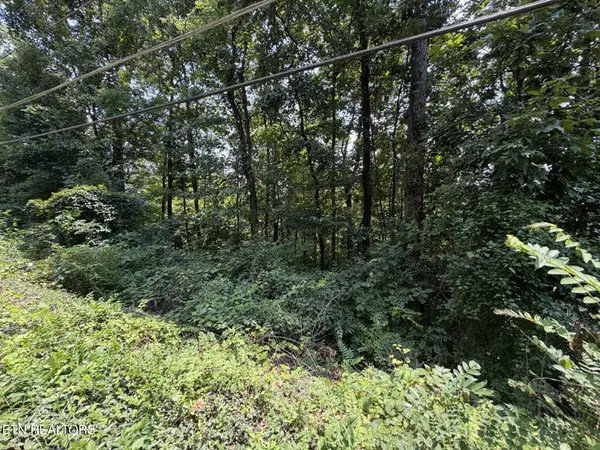 4636 Westover Terrace, Knoxville, TN 37914