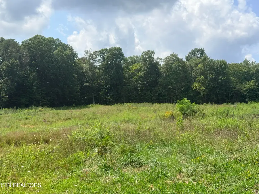 Mcghee St, Jamestown, TN 38556 - #3