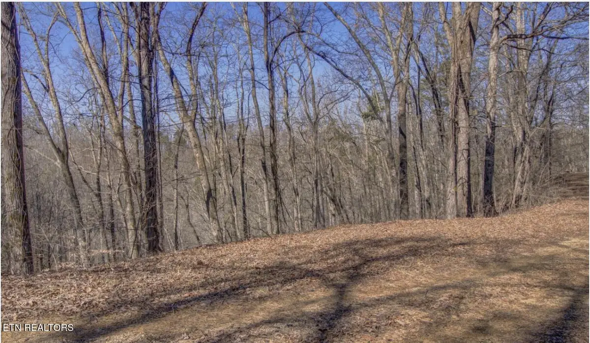 4585 Crooked Creek Way, Maryville, TN 37803 - #1