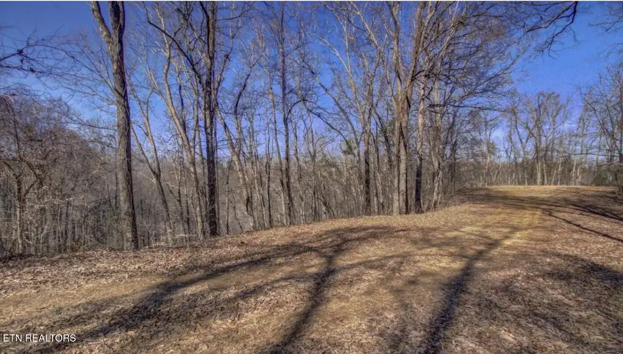 4585 Crooked Creek Way, Maryville, TN 37803 - #3