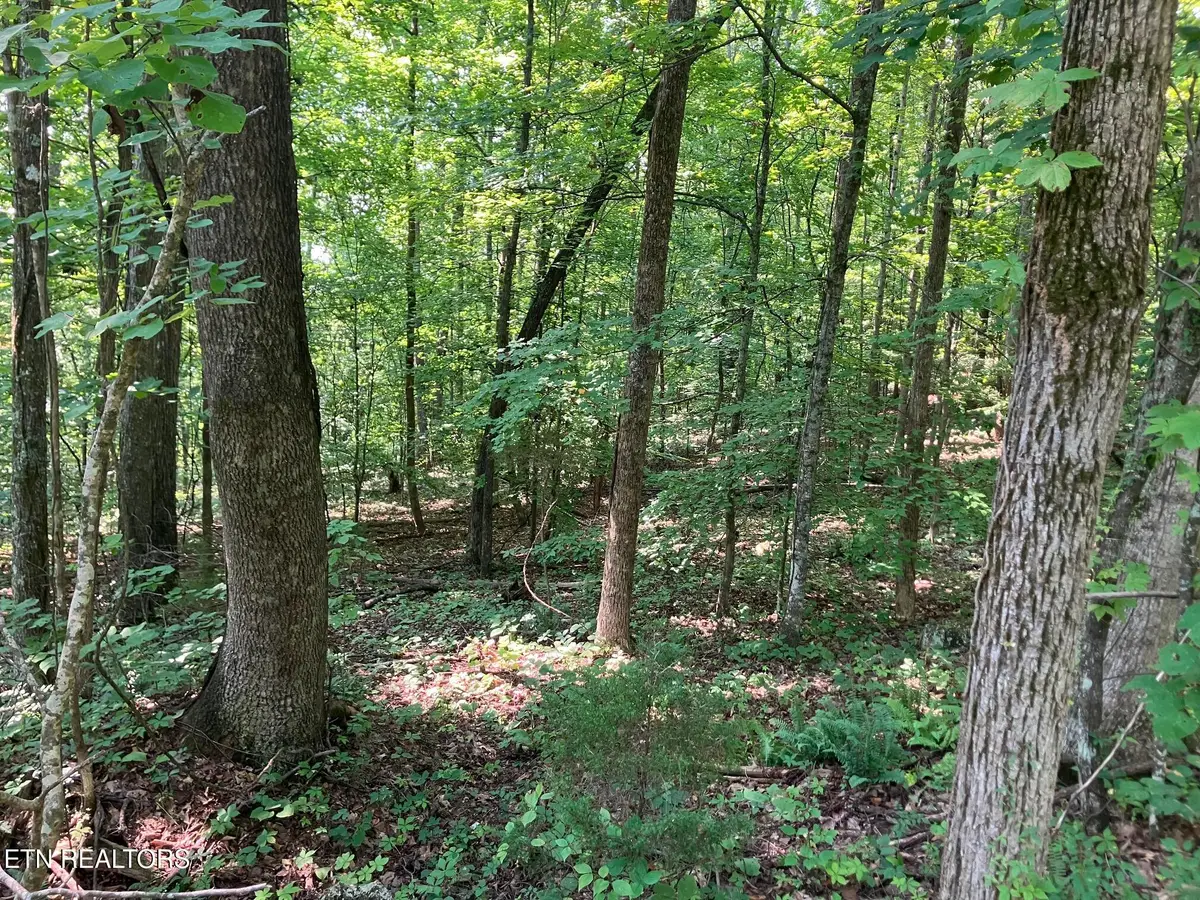 Lot 1 Tumbling Run Rd, Maynardville, TN 37807 - #1