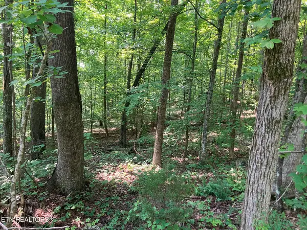 Lot 1 Tumbling Run Rd, Maynardville, TN 37807