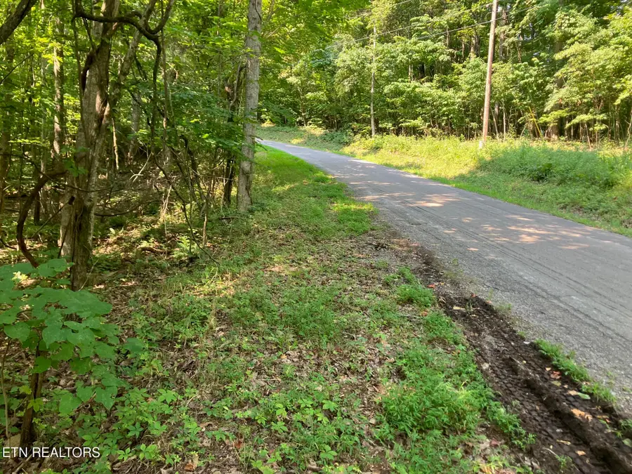 Lot 1 Tumbling Run Rd, Maynardville, TN 37807 - #2