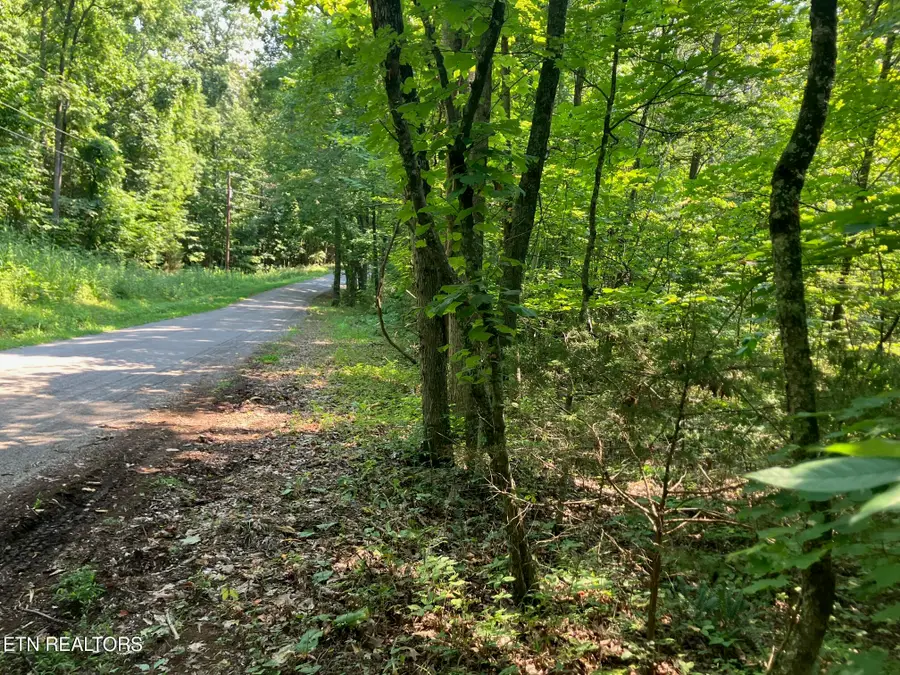 Lot 1 Tumbling Run Rd, Maynardville, TN 37807 - #3