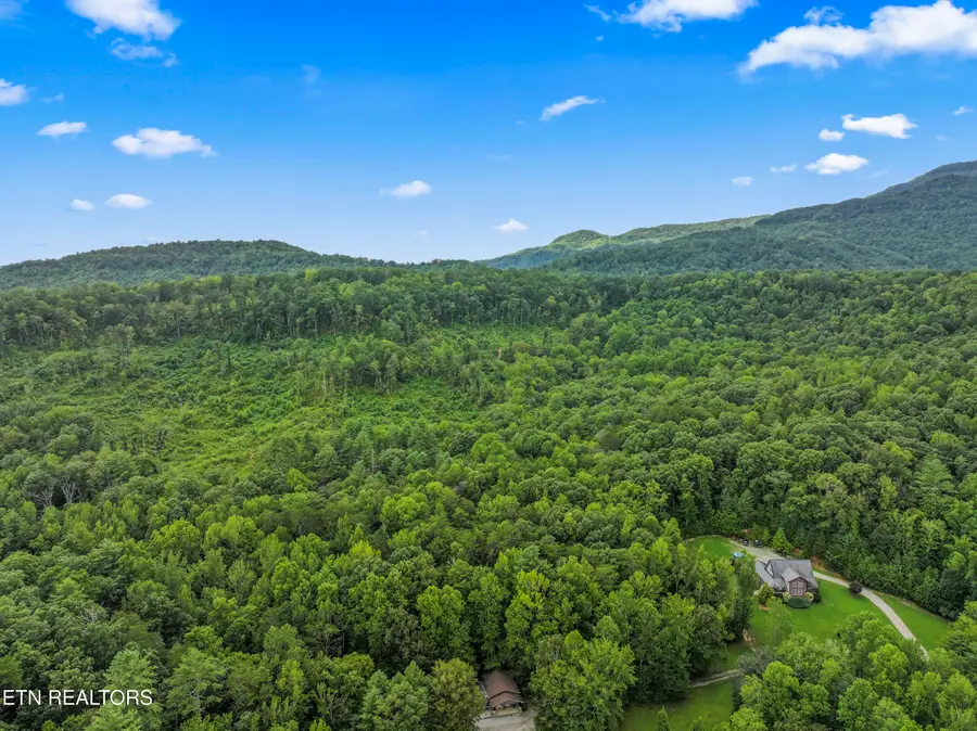 1525 Cove Lane, Oliver Springs, TN 37840 - #3