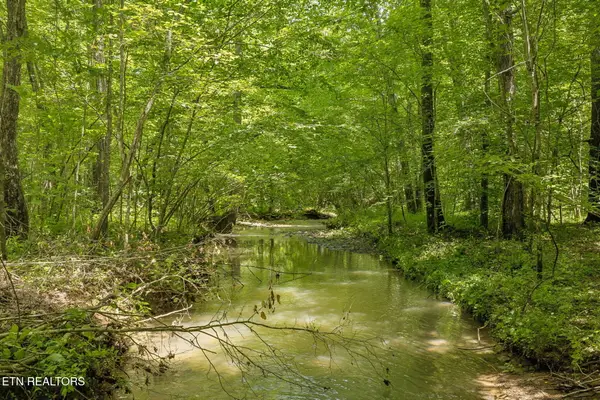 Nydeck Rd, Robbins, TN 37852