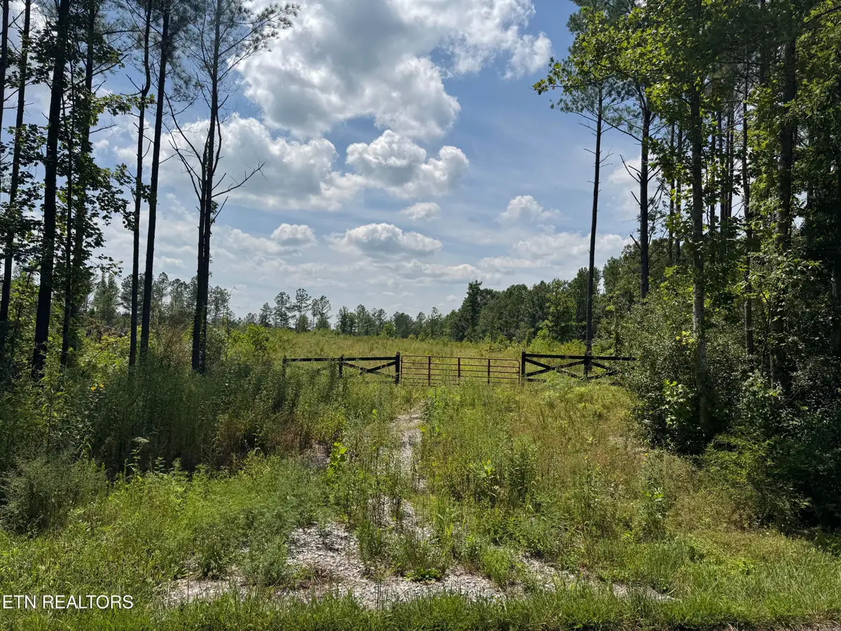 Lot #12 Burrville Rd, Sunbright, TN 37872 - #1
