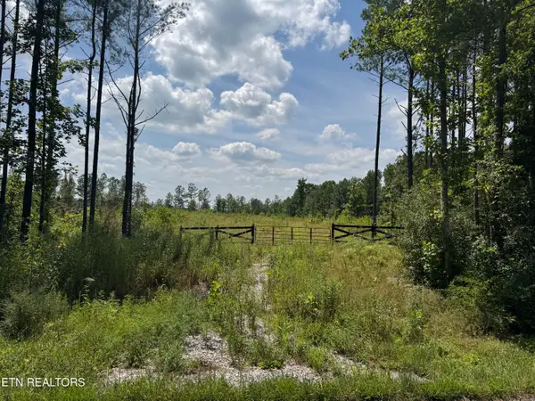 Lot #12 Burrville Rd, Sunbright, TN 37872
