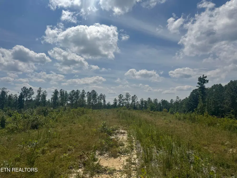 Lot #12 Burrville Rd, Sunbright, TN 37872 - #2