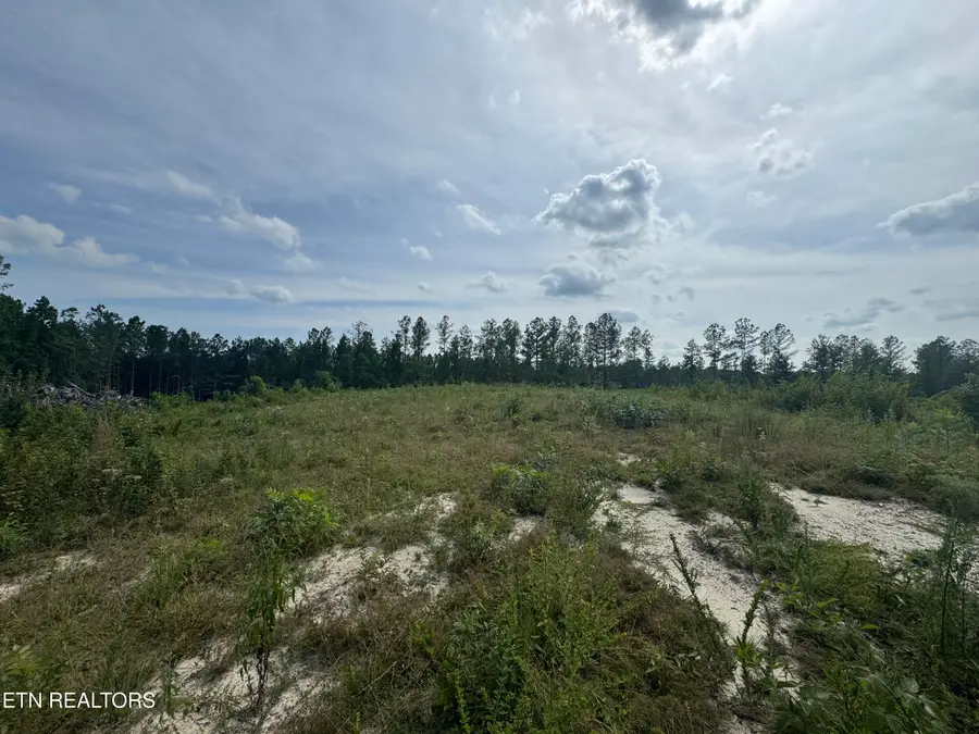 Lot #12 Burrville Rd, Sunbright, TN 37872 - #3