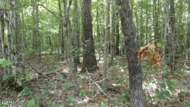 Lot 48 Parkstown Ext. Rd, Wilder, TN 38589 - #3
