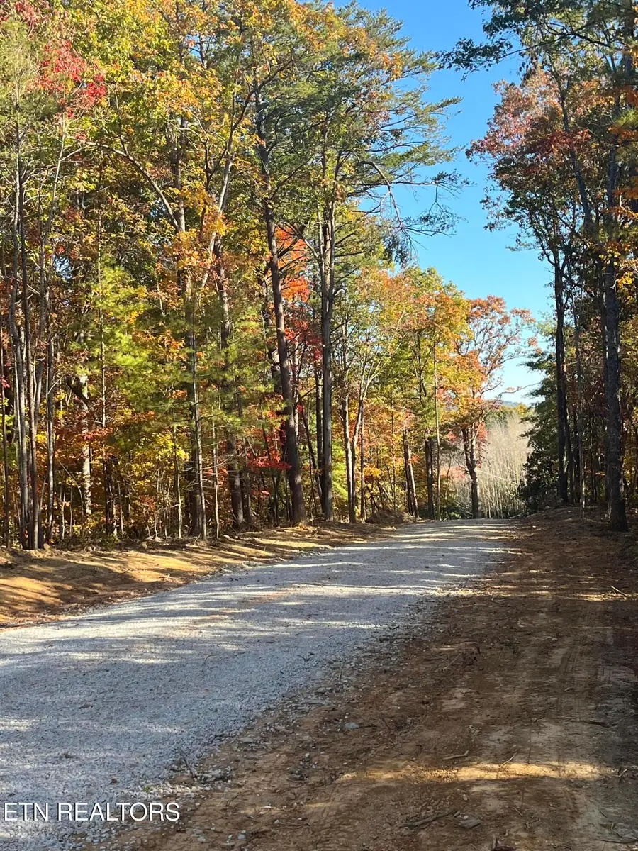 104 Cherokee Path, Tellico Plains, TN 37385 - #2