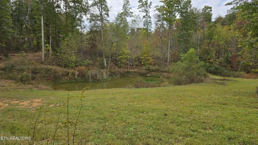 381 Grapevine Rd, Crossville, TN 38572 - #3