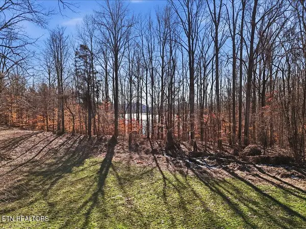 141 Red Cloud Lane, Rutledge, TN 37861