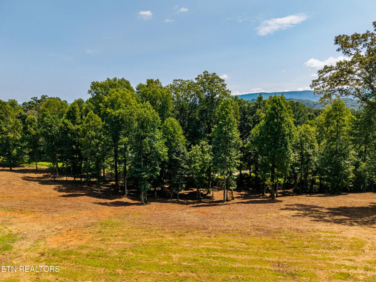 Little Best Rd, Maryville, TN 37803 - #1