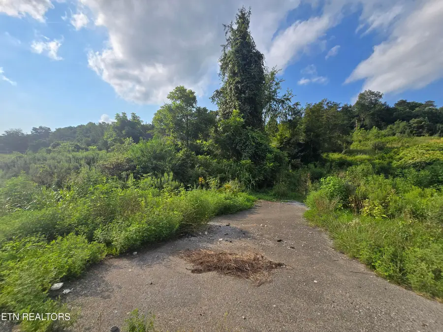 44573 Veterans Memorial Hwy, Dryden, VA 24243 - #2