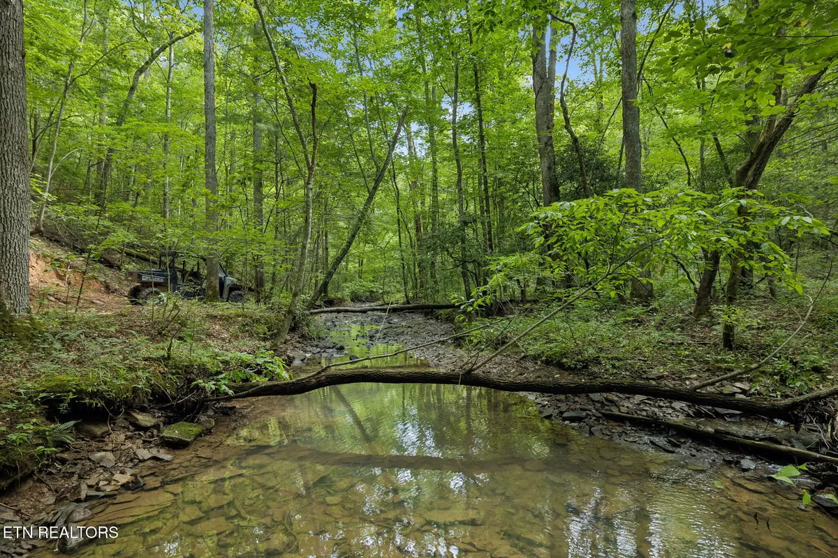 Sheep Ranch Rd, Robbins, TN 37852 - #1