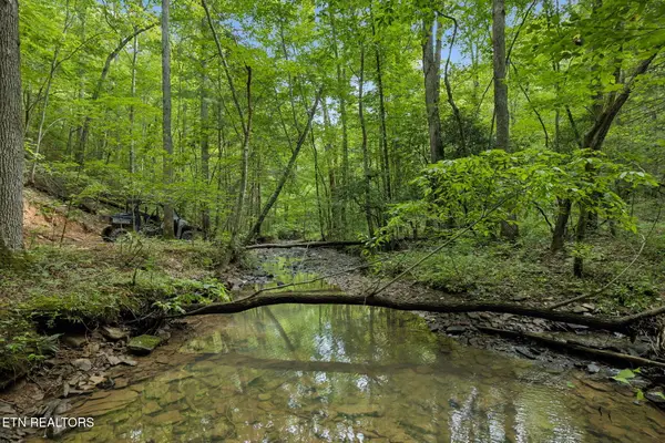 Sheep Ranch Rd, Robbins, TN 37852