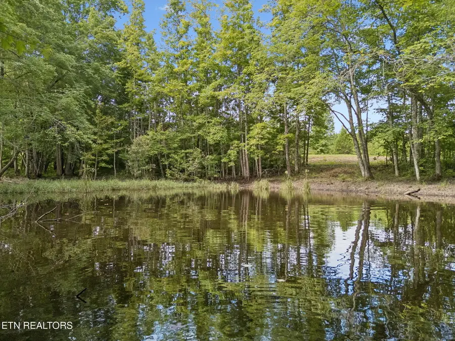 Sheep Ranch Rd, Robbins, TN 37852 - #2